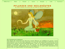 Tablet Screenshot of feenkraut.de